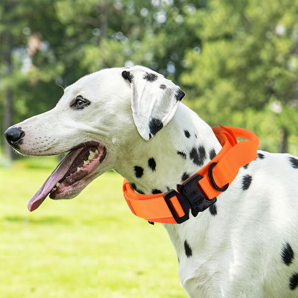 Tactical Dog Collar With Handle Adjustable Military Nylon Collar Comfortable & Durable Heavy Duty For Medium And Large Dogs
