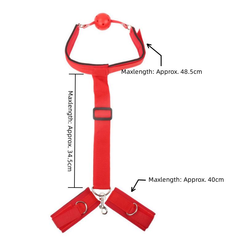 Měkký postroj Silikonový ústní roubík Pes Bone Ball Gag Otevřená ústa Gag BDSM Bondage Slave Gag Sexuální produkty SM sexuální hračky pro ženy