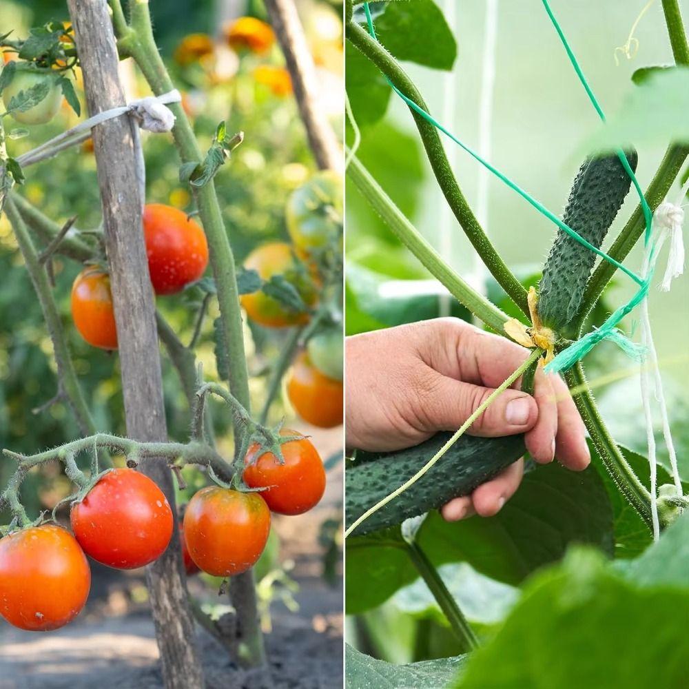 Flexible Plant Cable Ties Plastic Plant Support Clips Reusable Garden Ties  Outdoor Scenarios