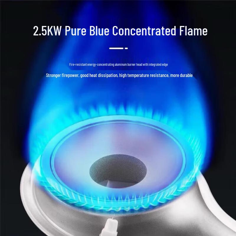 Iwatani ZB-LP-1 Portable Gas Stove