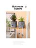 Succulent Cartoon Characters: Cute Creative Desktop Ornaments
