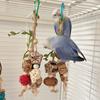 Hanging Bird Bite Chewing Toy Small Parrot Hanging Parrot Cage Toy Natural Grass Pet Bite Resistances Molar Supplies