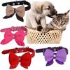 Stylish Bowtie Pet Collar In Vibrant Colors For Cats And Dogs With Adjustable Size
