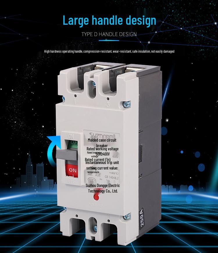 Molded Case 2P Circuit Breaker 100-250A Single-Phase 220V Double Pole Air Switch