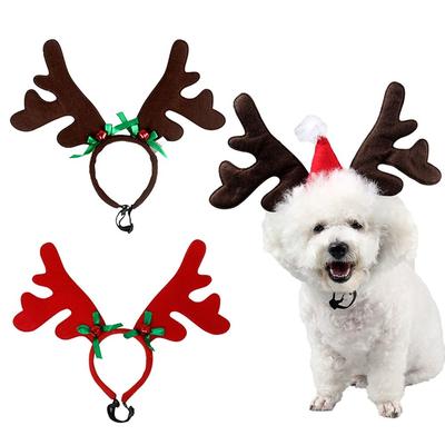 Ropa y calzado – Accesorios para perros