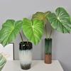 Green Plants Crane King Fern Leaf Lifelike Artificial Arrowroot Leaf  Floral Arrangement