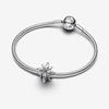 Pandora Sparkling North Star Charm 793591C01