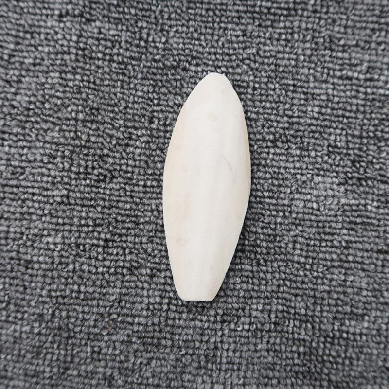 Пластиковый держатель каракатицы для аксессуаров для птиц-попугаев, дополняющий витамины кальция cuttlebone