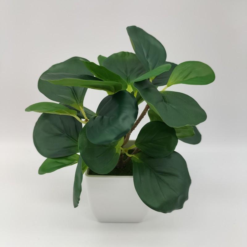 

Искусственные растения Бонсай Маленькое дерево Имитация дерева алоэ Горшечные растения Искусственные цветы Офисный стол Горшечные украшения Декор для дома и сада green