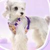 Cartoon Pattern Dog Harness Leash Set Escape-Proof Pet Walking Rope Dog Harness Vest  Daily Use