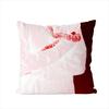 Band Sir CChloe Pillow Case For Car Sofa Decorative Home Doublesided Print Plush Square Throw Pillow Cushion Cover