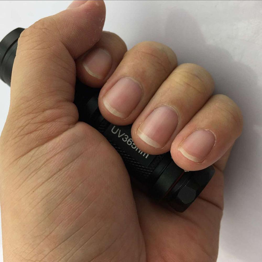 365nm AA Battery UV Led Flashlight Purple Torch Light Ultra Violet Lamp Ultraviolet Blacklight For Money Checker Detection
