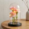 1 Artificial Carnation Immortal Flower Glass Cover Birthday Teachers' Day Mother's Day Gift Valentine's Day Gift