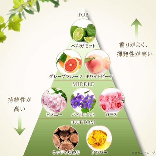 DOVE [Bulk Purchase] Botanical Selection Damage Protection Conditioner Refill 2 Refills 350g X 2