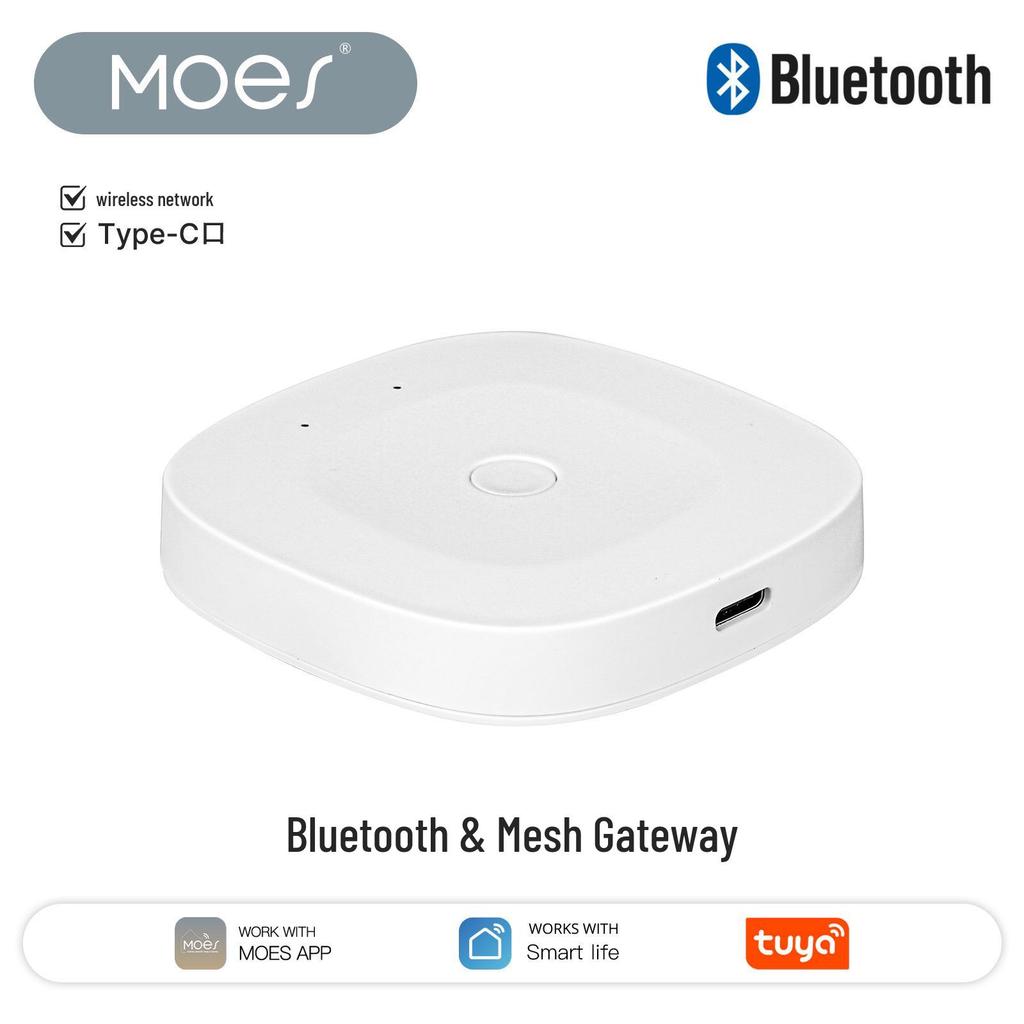 Smart Bluetooth Irrigation Water Valve with App & Voice Control for Gardens and Agriculture
