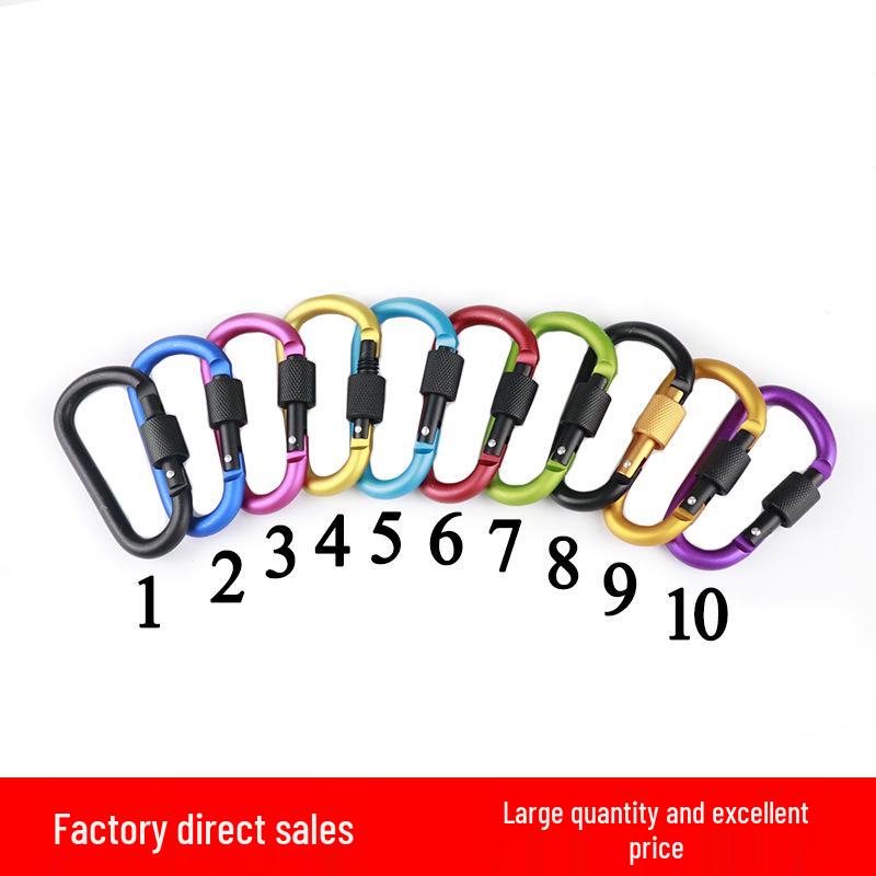 Large D-Type Aluminum Climbing Hook with Quick Link & Keyring