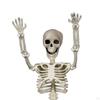 Halloween Skeletons Human Bones Prop Decor Full Body Joints for Lawn Decorations
