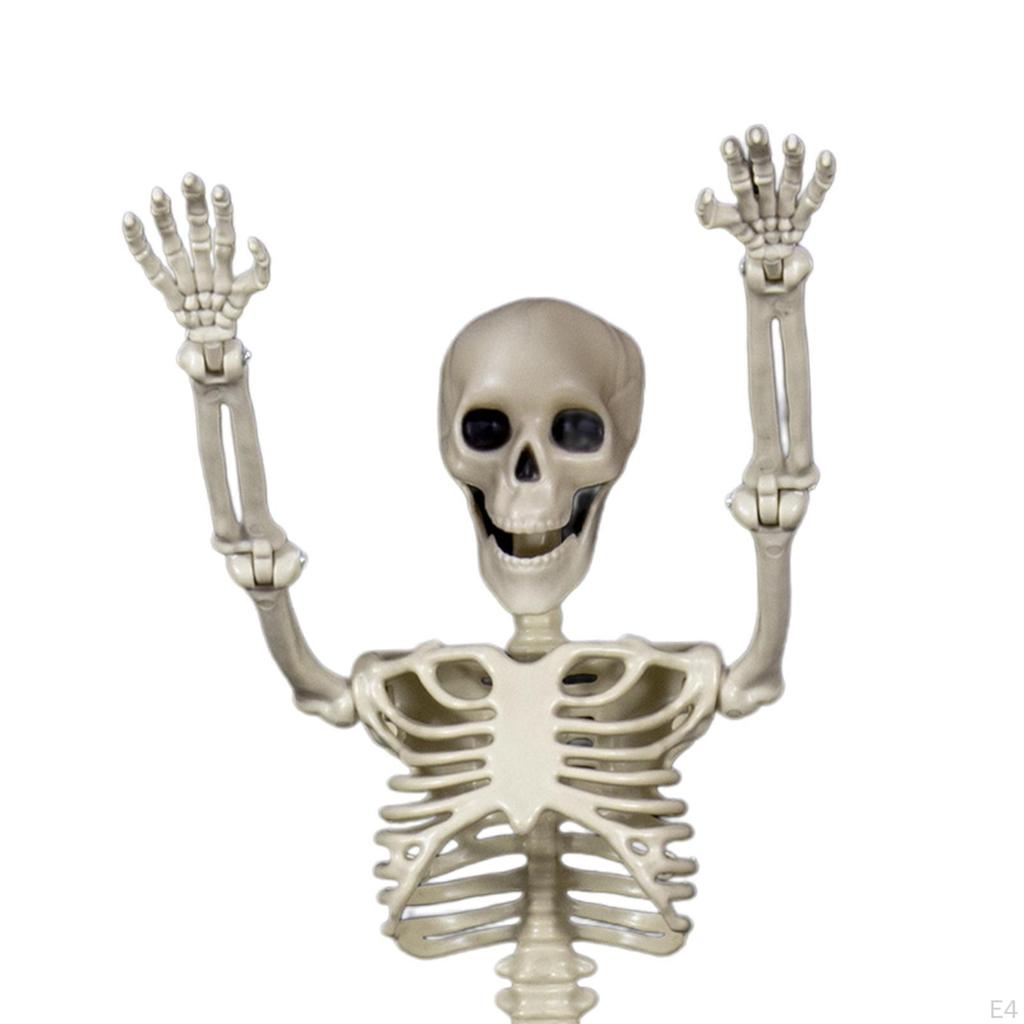 Halloween Skeletons Human Bones Prop Decor Full Body Joints for Lawn Decorations