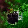 Aquariums Feeding Bowl Set Of 10 Clear Suction Cup Plant Holder For Shrimp And Small Fish Feeding Accessories