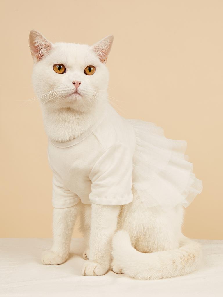 Hundekleid Haustier Hochzeitskleid Prinzessin Spitze Welpe Geburtstagsparty Outfit Formelle Kleidung Mädchen für Kleine Mittelgroße Hunde Katzen