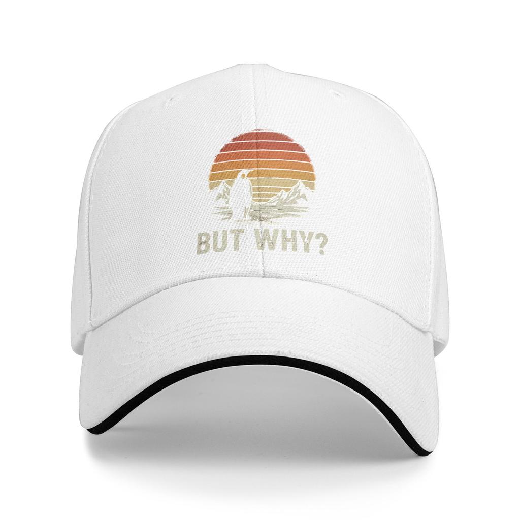 Summer Casual Baseball Cap Nihilist Penguin But Why Vintage Style Outdoor Gym Hip Hop Hats For Men Sun Trendy Baseball Caps