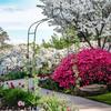 Metal Garden Pergola for Flowers, Roses, Climbers, Support, Arch, Anchors, Garden