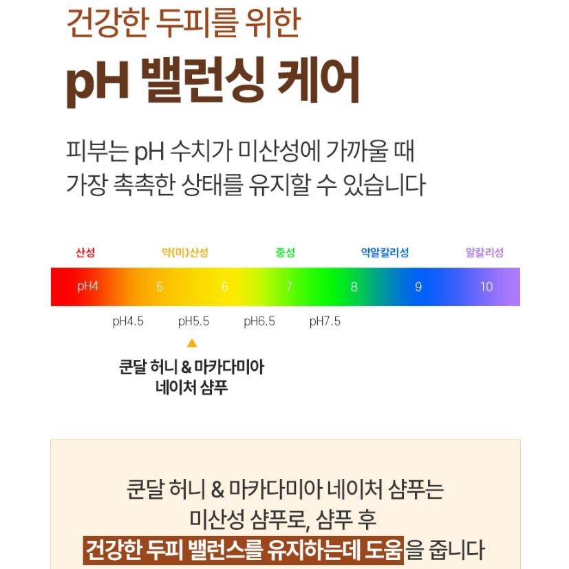 KUNDAL HONEY&MACADAMIA Sampoo+Treatment Set Scent Selection , Korean Popular Cosmetics Set