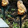 Solar Resin Owl LED Garden Light