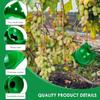5PCS/Pack Green Plant Rooting Box High Pressure Propagation Ball Reusable Plastic Breeding Container Nursery Garden Supplies ZYF
