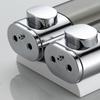 Wall Mounted Liquid Soap Dispenser Hand Washing Dispenser Family Hotel Bathroom Shower Gel Shampoo Container Golden Silver
