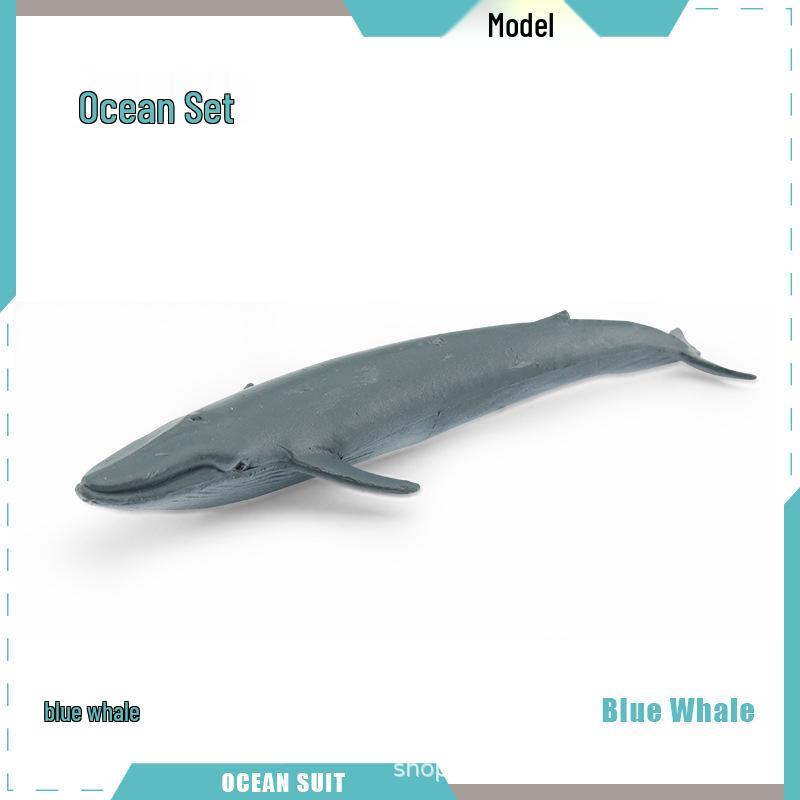 Children's Marine Animal Model Set: Mini Whale, Shark, Dolphin, Turtle, Sea Lion