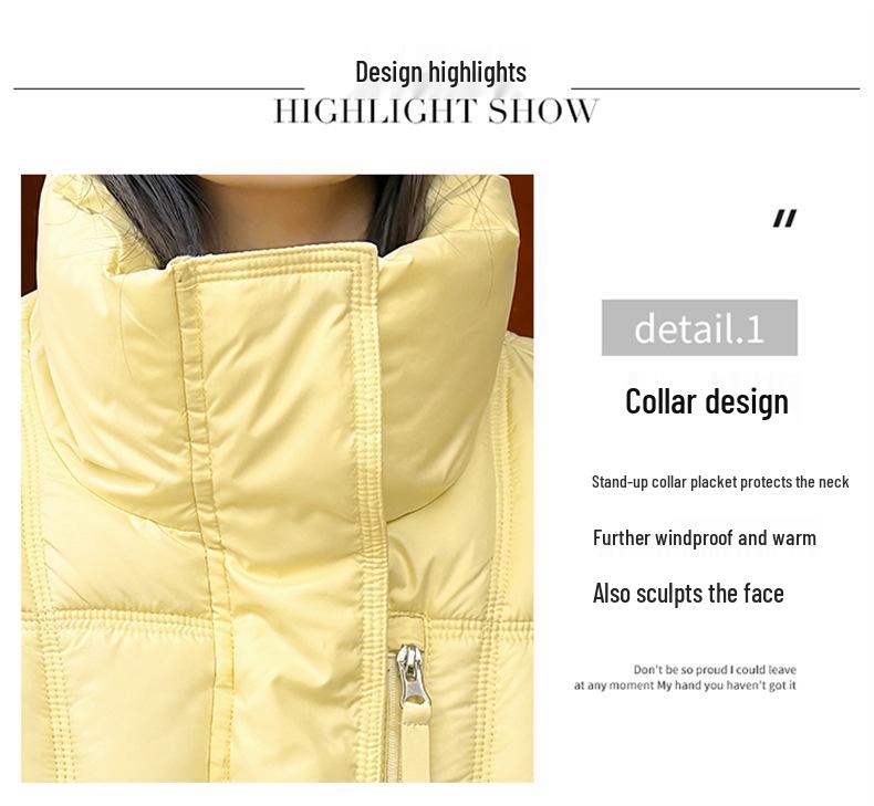 Korean Style Winter Cotton Puffer Jacket for Women - 2026 Collection, Loose Fit, Thickened, Stand Collar, Warm Outerwear.