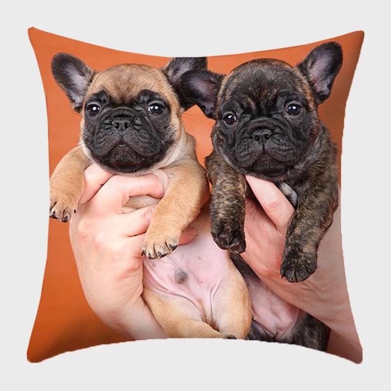 Bulldog Polyester Cushion Cover Modern French Bulldog Pillowcase Sofa Throw Pillow Cover Decorative Pillowcase For Couch Bed Car