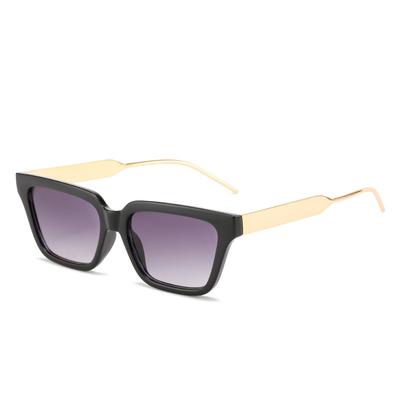 Brillen en accessoires – Zonnebrillen