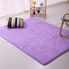 Carpet Plush Slip Resistant Polyester Solid Color Door Floor Mat for Sitting Room