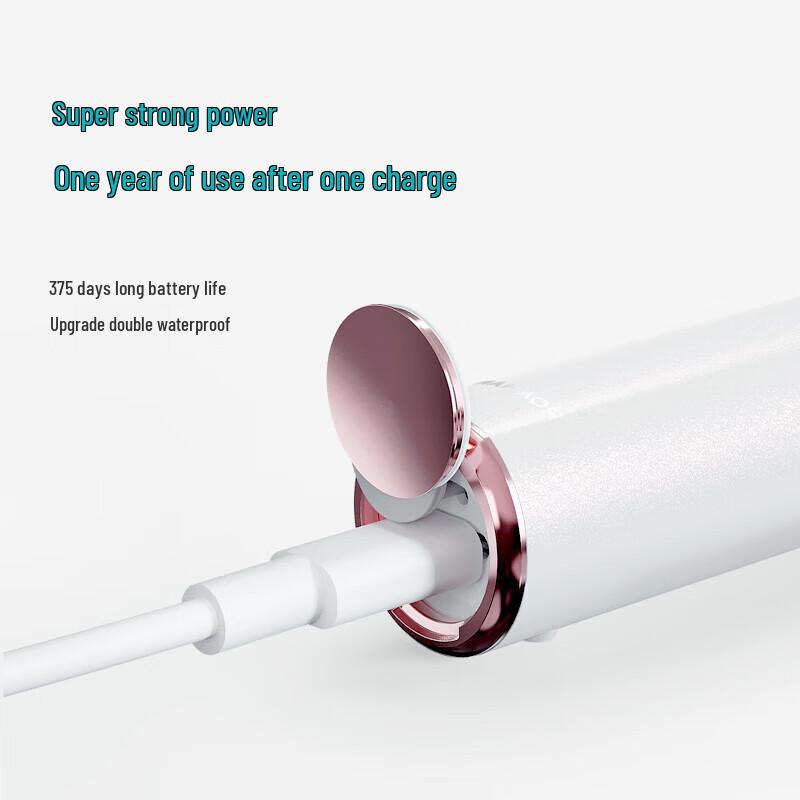 ROAMAN T10X-B Electric Toothbrush