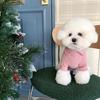 New pet bottoming shirt Teddy Pomeranian VIP Yorkshire Maltese autumn dog and kitten cat clothes