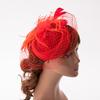 Tea Party Fascinator Derby Hat Women Fascinator Headband Veil Feather Fascinator Derby Pillbox Hat Cocktail Veil Mesh