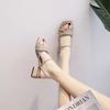French-style Thick-heeled Sandals Fairy Style 2025 Summer New Mid-heel with High-end Fashion Shoes