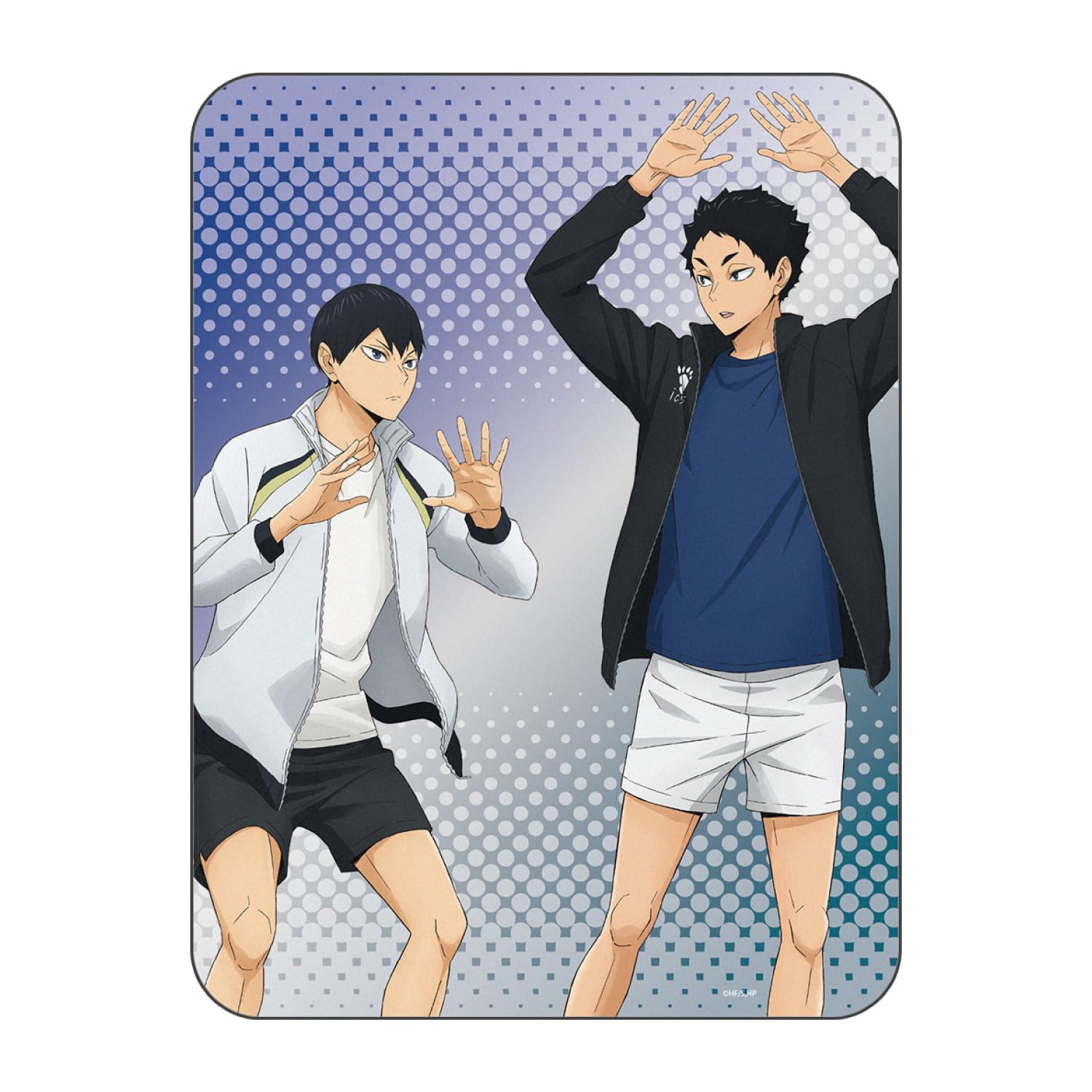 

Gourmandise Collectible Mouse Pad Kageyama Akaashi Haikyu!! & BHIK-16B