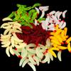 125Pcs/set Soft Wacky Rigs Worms Baits Silicone Fishing Lures Worms Fishing Lures Short Worms Artificial Baits Swimbaits
