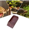 With Ramp Reptile Water Dish Square Bathing Pool Ornaments Turtle Bath Basin  Aquarium Use