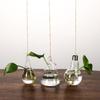 Cute Bulb/Birds/Angel/Peach/Water Droplets Eye-catching Glass Vase Transparent Hanging Glass Hydroponics Plant Pot Container