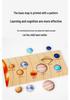 Wooden Solar System & Continents Cognitive Puzzle Toy
