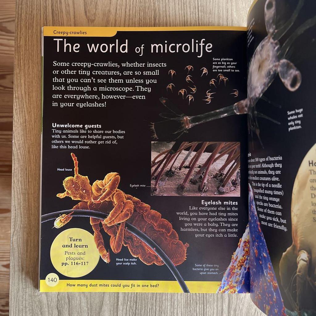 [USED] First Animal Encyclopedia