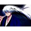 Free Shipping Nura: Rise of the Yokai Clan Anime Poster - Framed Decorative Wall Art for Tea House or Study.