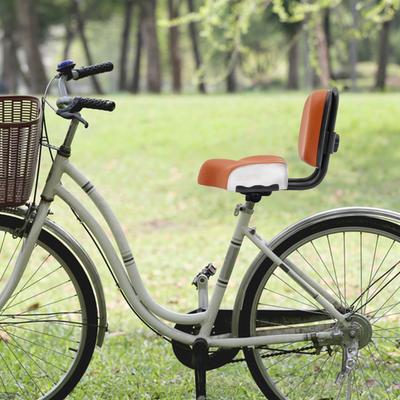 Vélo Tricycle avec Siège Dossier, Hauteur Réglable 23-35 cm, Coussin Confortable pour Longues Balades, Polyéthylène de Haute Qualité, Gris
