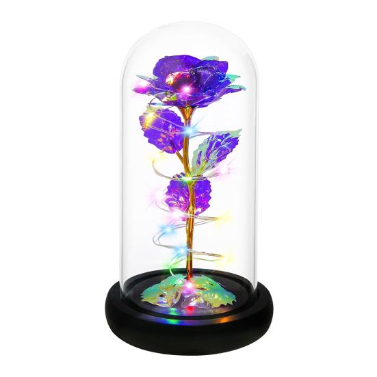 Ewige Rose in Kuppel mit LED-Licht Romantisches Leuchten Künstliche Rose Geschenk für Ehefrau Freundin Oma Jahrestag Geburtstag Valentinstag Feiertag