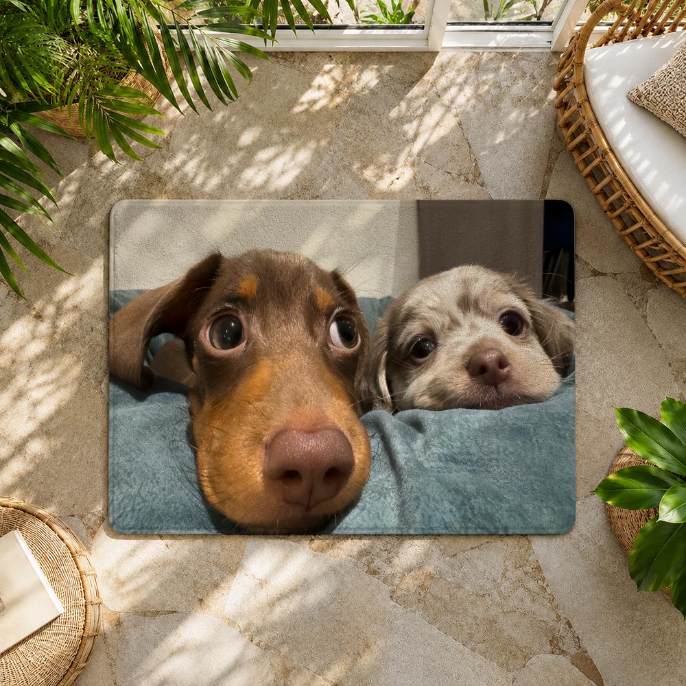 Kwaii Cute Dog Floor Mat Flannel Rug Non Slip Absorbent Soft Washable For Entryway Hallway Bathroom Kitchen Decor