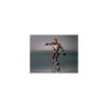 TAMASHII NATIONS S.H. Figuarts Kamen Rider Faiz Action Figure Collectible Toy